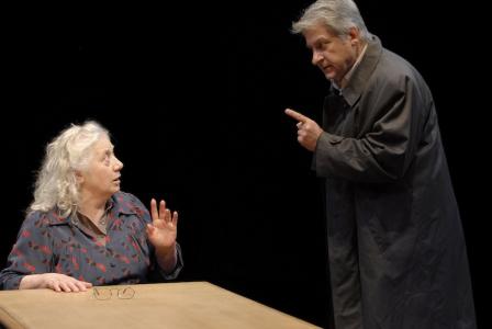 Conversations avec ma mère - Isabelle Sadoyan, Didier Bezace Conversations avec ma mère - Isabelle Sadoyan, Didier Bezace