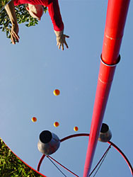 Girouette pour Jardin
